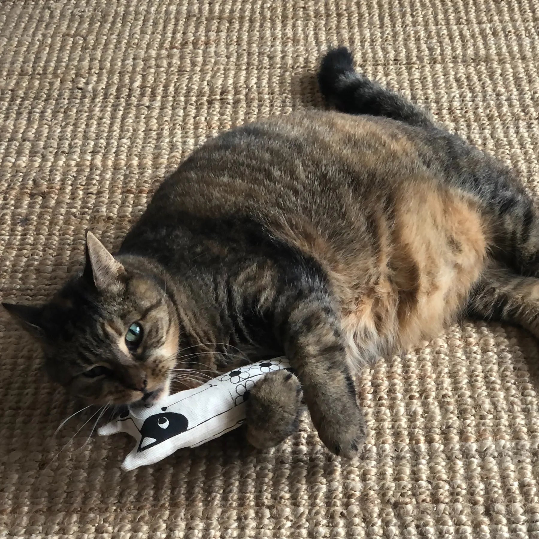 Catnip toy - FlowerCat