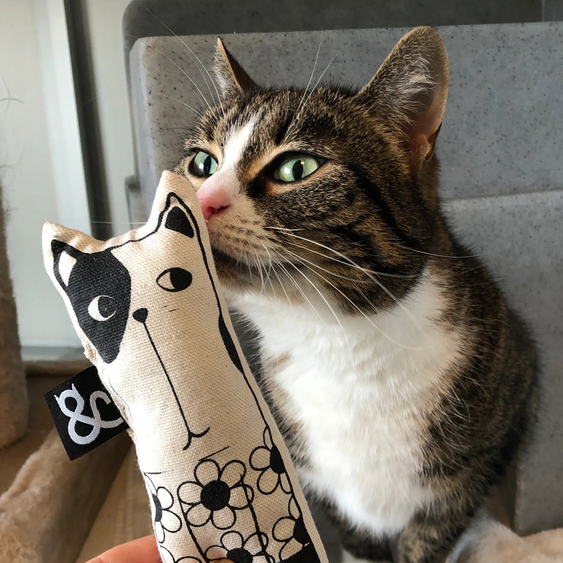 Catnip toy - FlowerCat